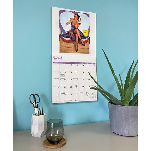 Pinup Girls 2027 Wall Calendar CAROUSEL (270807)  Alt Image 5