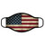 U.S. Flag Color Facemask Main Image