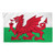 Welsh Dragon Flag Main Image