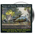 Pursue and Destroy Vietnam Helicopters - DVD Main Image