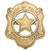 Ennis, Texas Chief of Police Badge Denix 22-110 Main Image