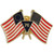 U.S. Flag/Bennington Flag Lapel Pin Main Image