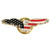 American Eagle Lapel Pin Main Image