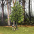 Maple Tree Summer 11 Tall William Britain (53021) Alt Image 1