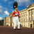 Grenadier Guards Officer, 1831 1/30 Figure William Britain (10044) Alt Image 2