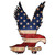 US Flag Eagle Cut Out Metal Sign PSB101 Main Image
