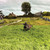 SPRING MEADOW GRASS MAT 32"X 12"   William Britain (80003) Alt Image 1