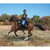 Cavalry Corporal on Trotting Horse No.1 1/30 Figure  WILLIAM BRITAIN (31504) Alt Image 1