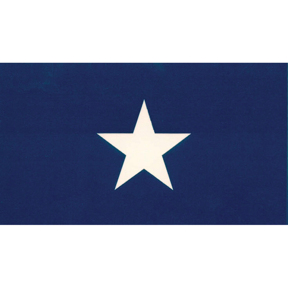 Bonnie Blue Flag Bumper Sticker Main Image