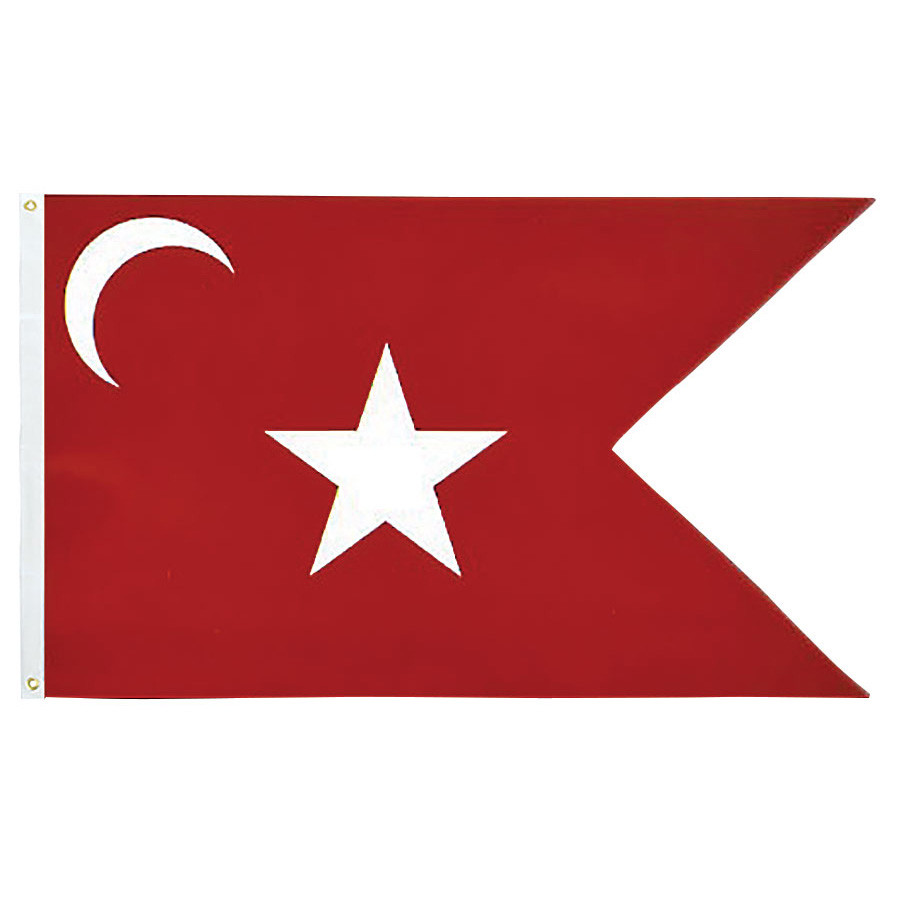 South Carolina Swallow-Tailed Secession Flag Main Image