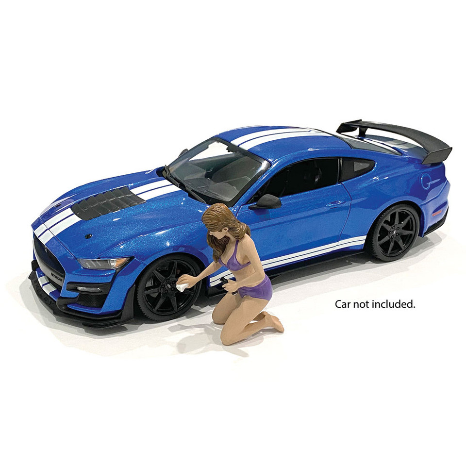 Bikini Car Wash Girl - Alisa Main Image