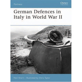 German Defences in Italy in World War II Main Image