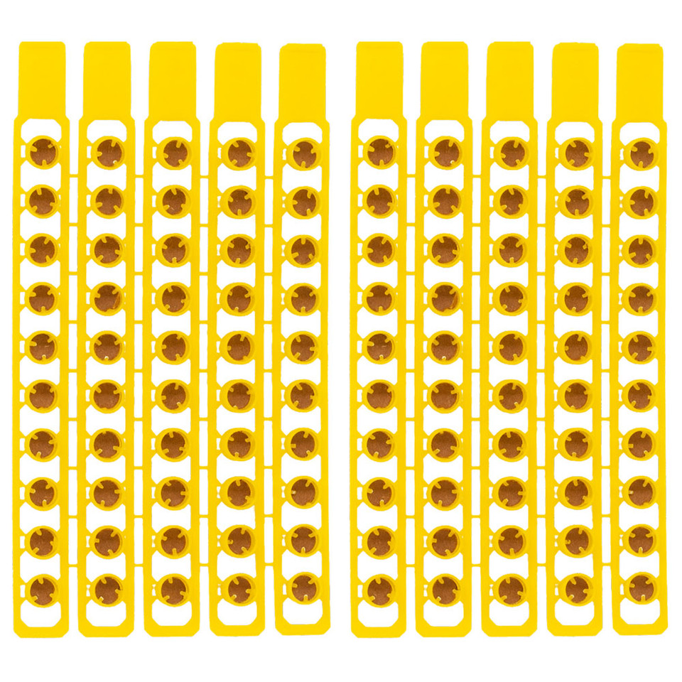 Denix Caps 100-pack Main Image
