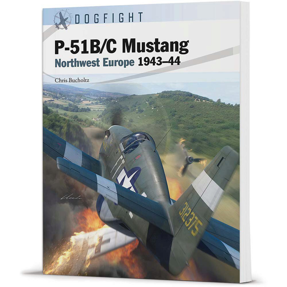 P-51B/C Mustang Dogfight Main Image