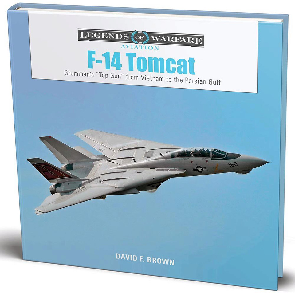 F-14 Tomcat: Main Image