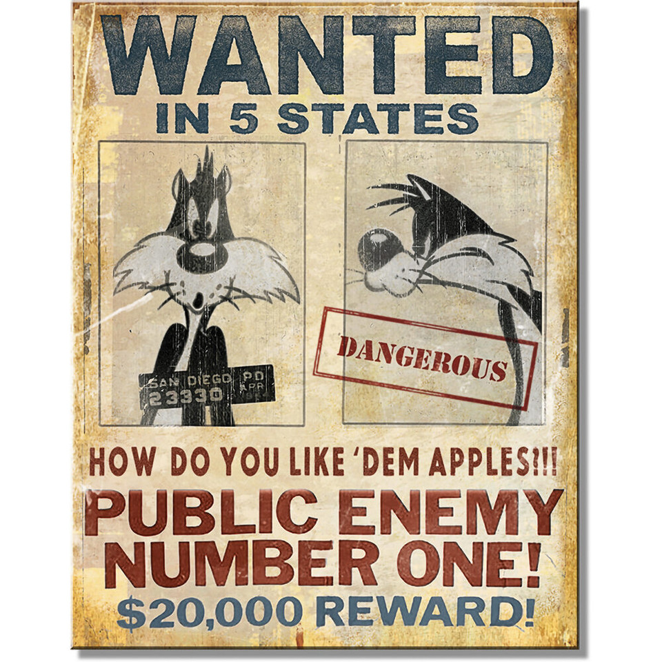 Looney Tunes Wanted Metal Sign 2934 Main Image