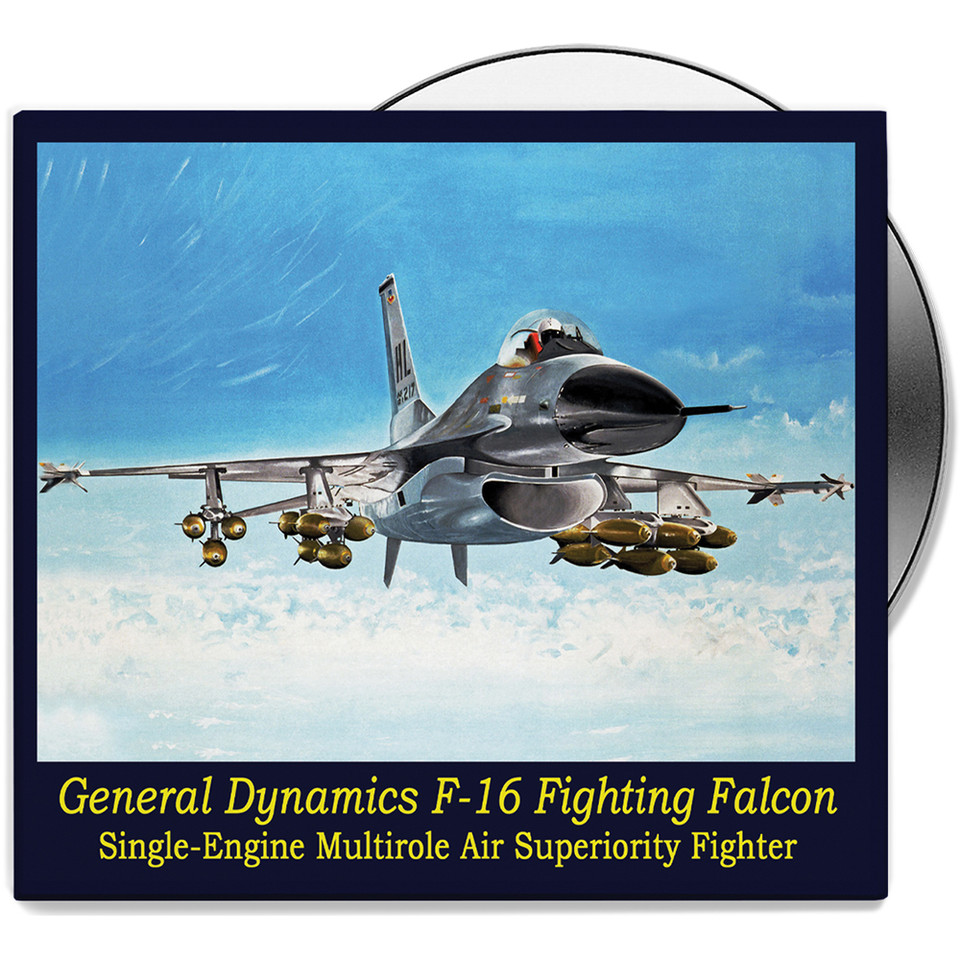 F-16 Fighting Falcon: Main Image