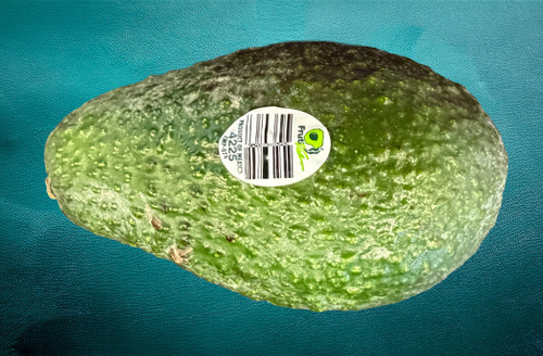 Large Avocado - each