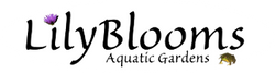 Lilyblooms Aquatic Gardens