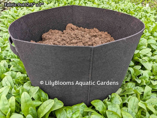 Fabric Pot 12.5" x 7"