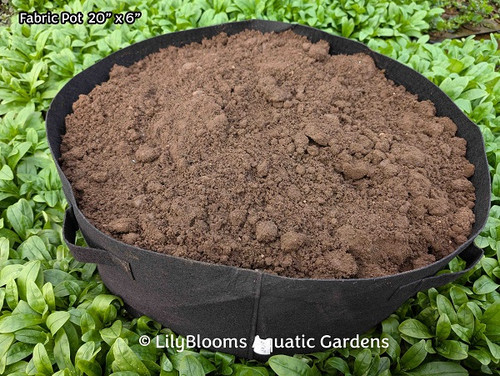 LilyBlooms Jumbo Pond Plant Fabric Pot 20" x 6"