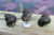 Pond Snails - Japanese Black Trapdoor Snails (Vivaparous Malleatus)