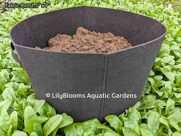 Fabric Pot 12.5" x 7"