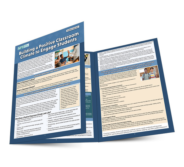 Building a Positive Classroom Climate to Engage Students