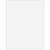 70017 - Blank Statement Paper (Perf at 3")