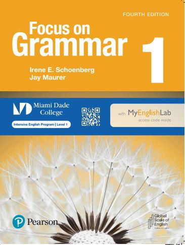 Focus on Grammar - Miami Dade - Custom solution for MDC IEP - only