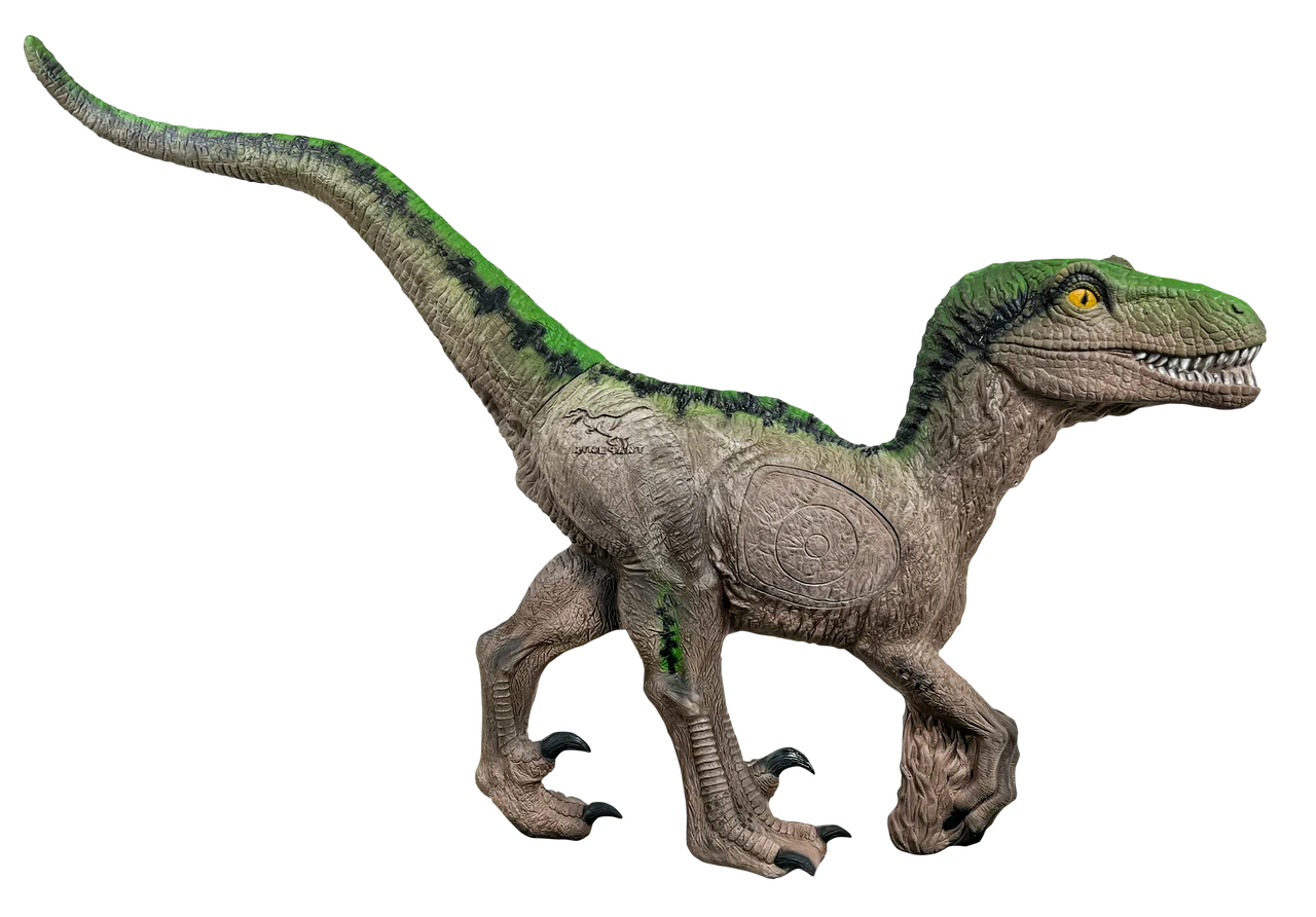 Velociraptor