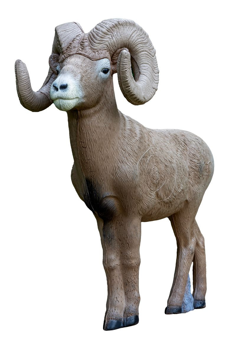 Rinehart Signature Bighorn Ram - Thumbnail 2