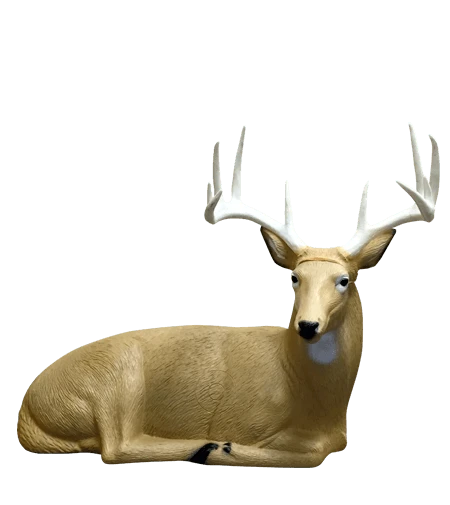 Hirsch