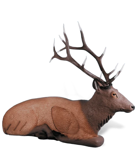 Hirsch