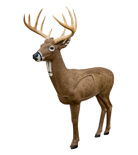 Rinehart Big Jim 3D Whitetail Deer Target - Thumbnail 4