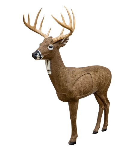 Hirsch
