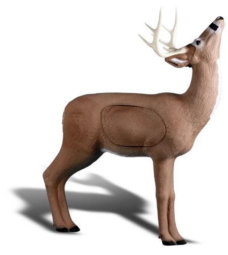 Hirsch