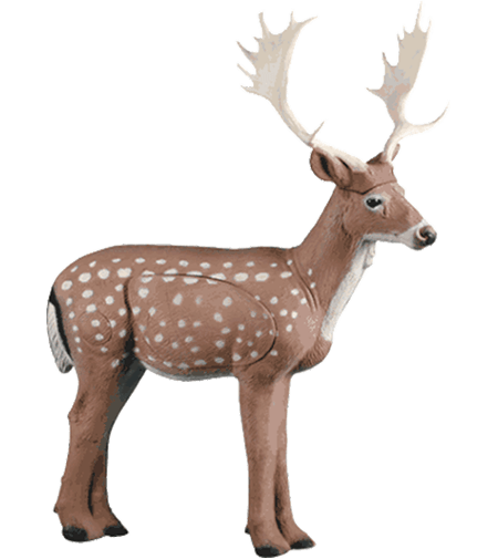 Hirsch