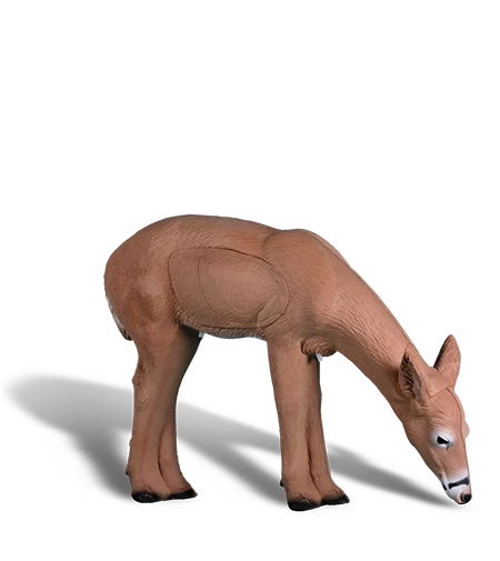 Reh