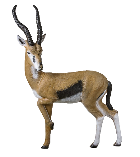 Rinehart Gazelle - Thumbnail 2