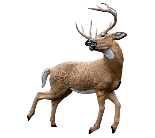 Hirsch