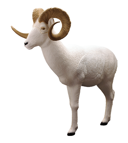 sheep Standing Dahl Sheep - Rinehart Targets