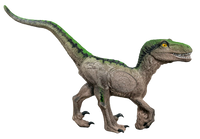 Signature Velociraptor