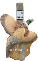 Pheasant - Blem