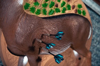 Whitetail Game Room Dartboard Blem
