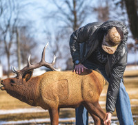 1/3 Scale Elk in the Field