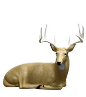 Bedded Buck