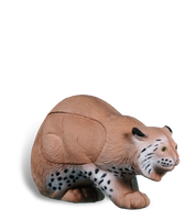 Bobcat