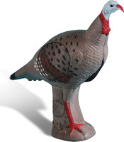 Alert Turkey 40514 Alert Turkey 40514