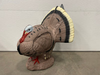 Strutting Turkey - Blem